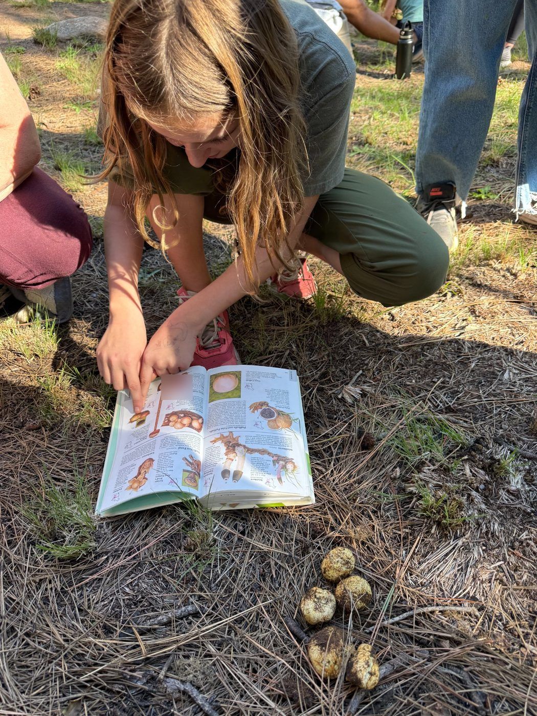 Tonto Creek — student identifying puffball mushrooms with a field guide