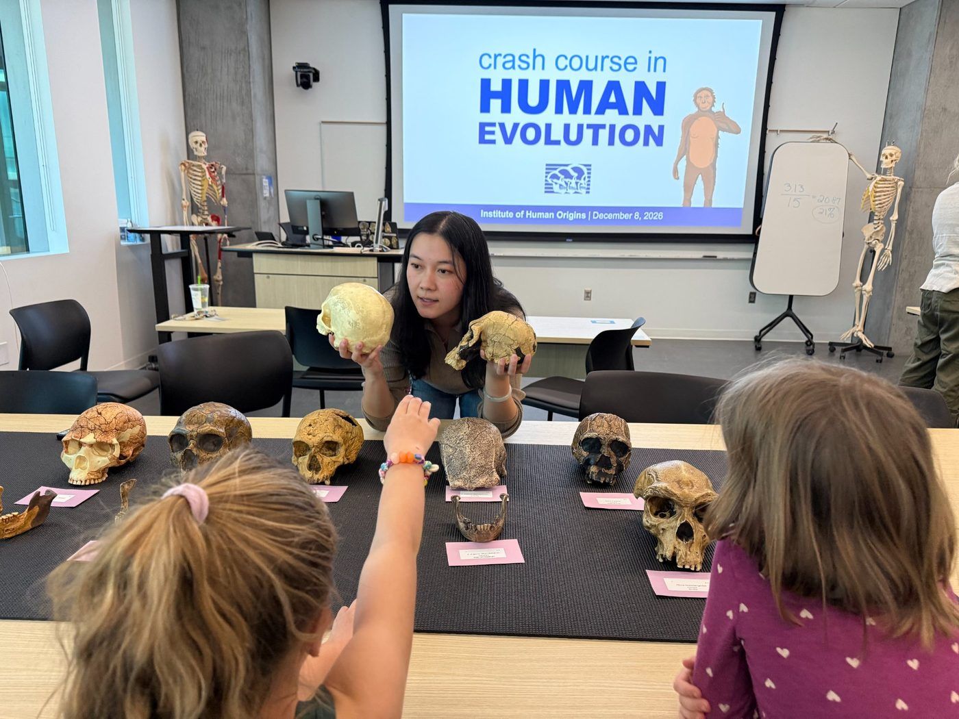 ASU Institute for Human Origins — Crash Course in Human Evolution with hominid skull replicas