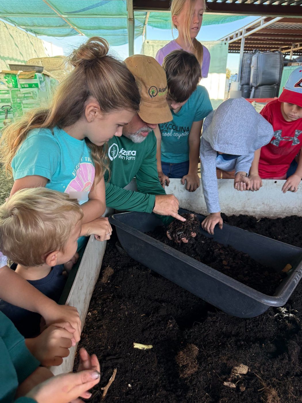 Arizona Worm Farm — students examining worms with a guide